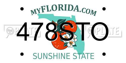 478STO Florida License Plate