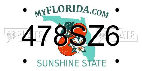 478SZ6 Florida License Plate