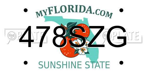 478SZG Florida License Plate