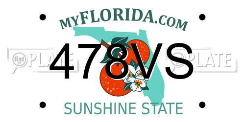 478VS Florida License Plate