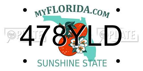 478YLD Florida License Plate