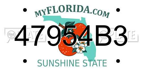 47954B3 Florida License Plate