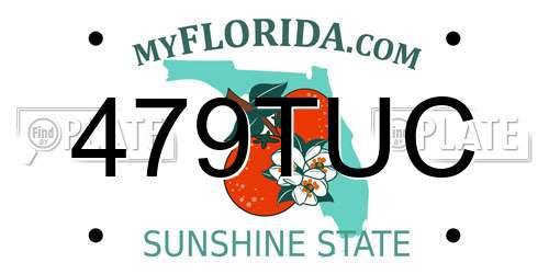 479TUC Florida License Plate