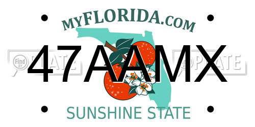 47AAMX Florida License Plate