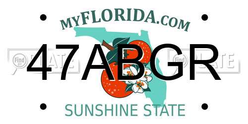 47ABGR Florida License Plate
