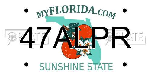 47ALPR Florida License Plate