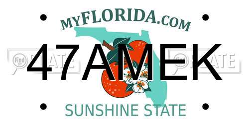 47AMEK Florida License Plate