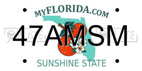 47AMSM Florida License Plate
