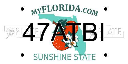 47ATBI Florida License Plate