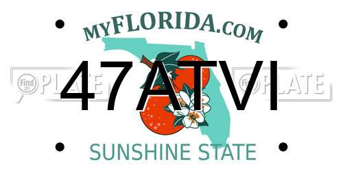 47ATVI Florida License Plate