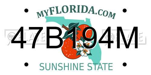 47B194M Florida License Plate