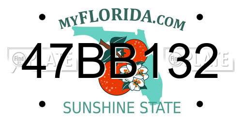 47BB132 Florida License Plate