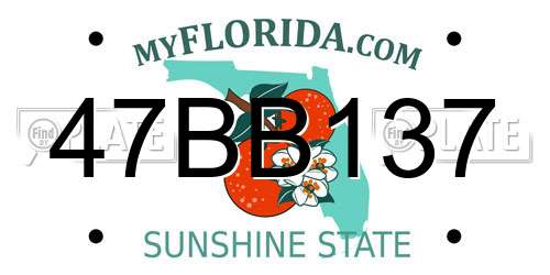 47BB137 Florida License Plate