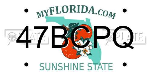 47BCPQ Florida License Plate