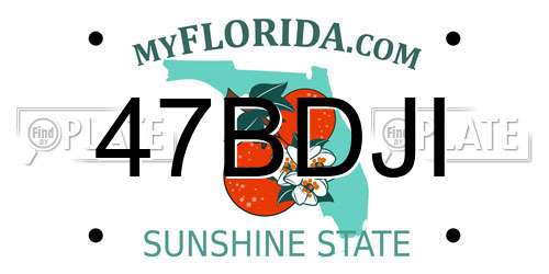 47BDJI Florida License Plate
