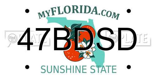 47BDSD Florida License Plate