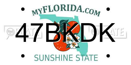 47BKDK Florida License Plate