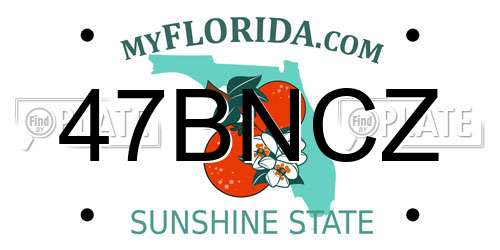 47BNCZ Florida License Plate
