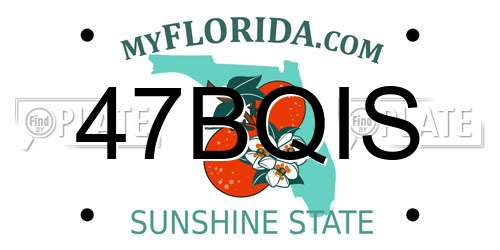 47BQIS Florida License Plate