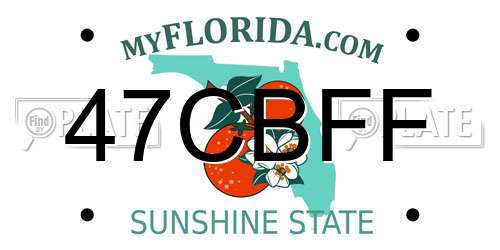 47CBFF Florida License Plate