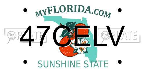47CELV Florida License Plate