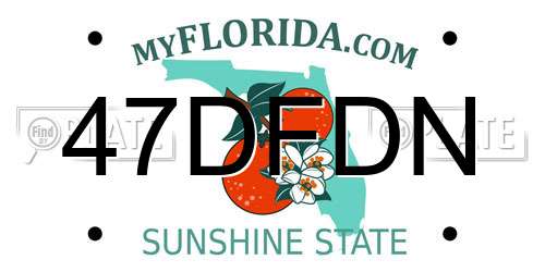 47DFDN Florida License Plate