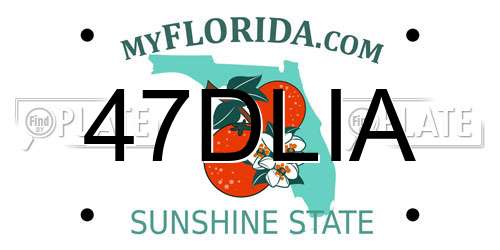 47DLIA Florida License Plate