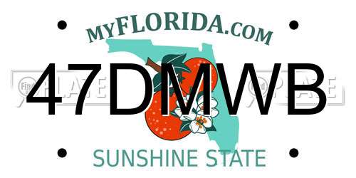 47DMWB Florida License Plate
