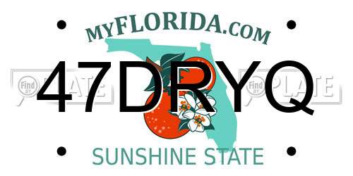 47DRYQ Florida License Plate