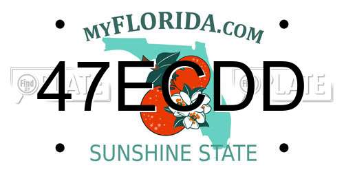 47ECDD Florida License Plate
