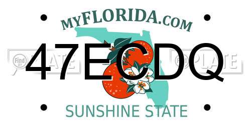 47ECDQ Florida License Plate