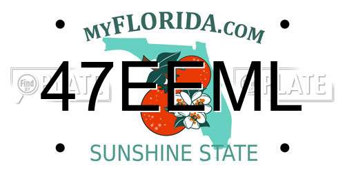 47EEML Florida License Plate