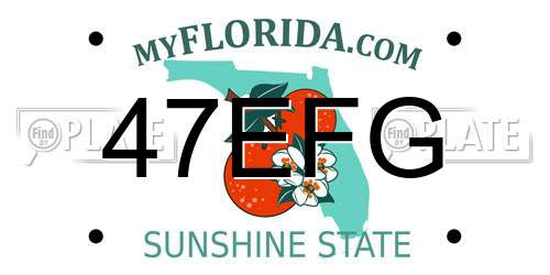 47EFG Florida License Plate