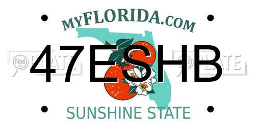 47ESHB Florida License Plate