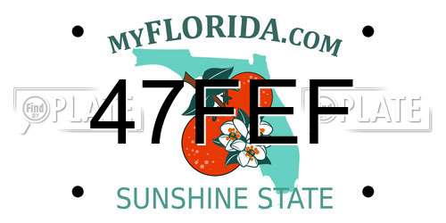 47FEF Florida License Plate