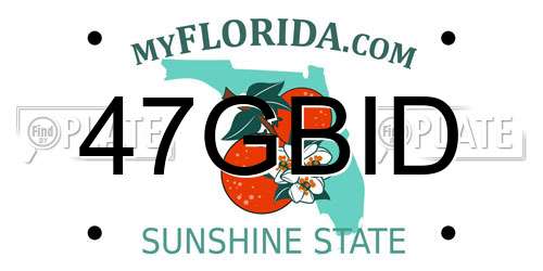 47GBID Florida License Plate