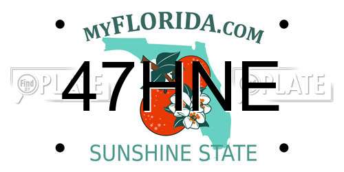 47HNE Florida License Plate