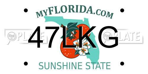47LKG Florida License Plate