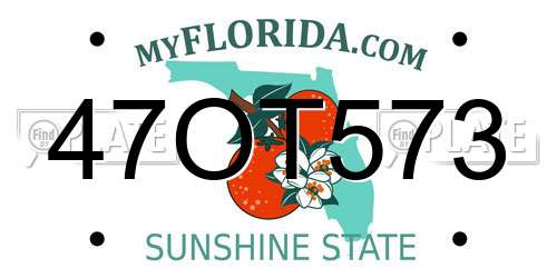 47OT573 Florida License Plate