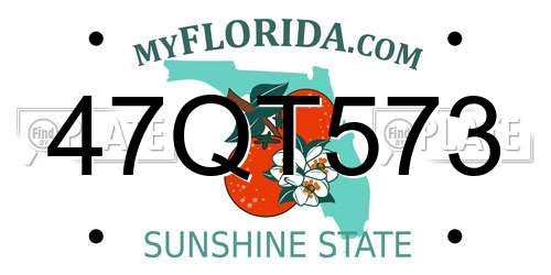 47QT573 Florida License Plate