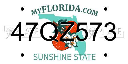 47QZ573 Florida License Plate