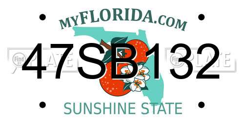 47SB132 Florida License Plate