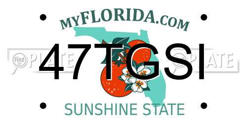 47TGSI Florida License Plate