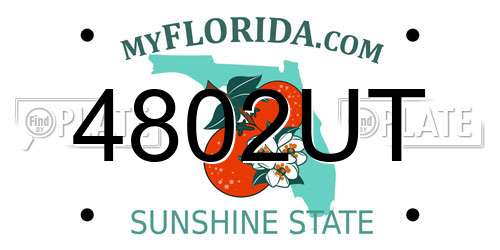 4802UT Florida License Plate