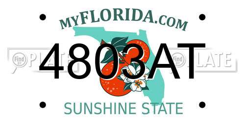 4803AT Florida License Plate