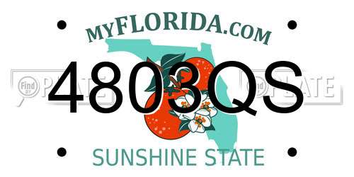 4803QS Florida License Plate