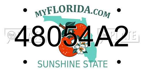 48054A2 Florida License Plate