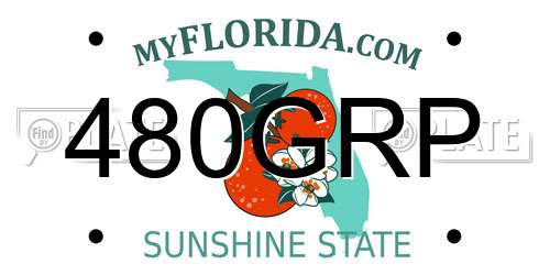 480GRP Florida License Plate