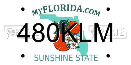 480KLM Florida License Plate