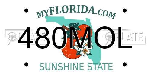480MOL Florida License Plate